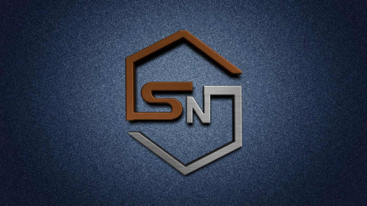SN International Logo